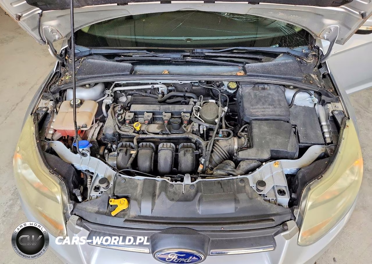 2013 Ford Focus Se VIN:1FADP3K23DL318864 - 11