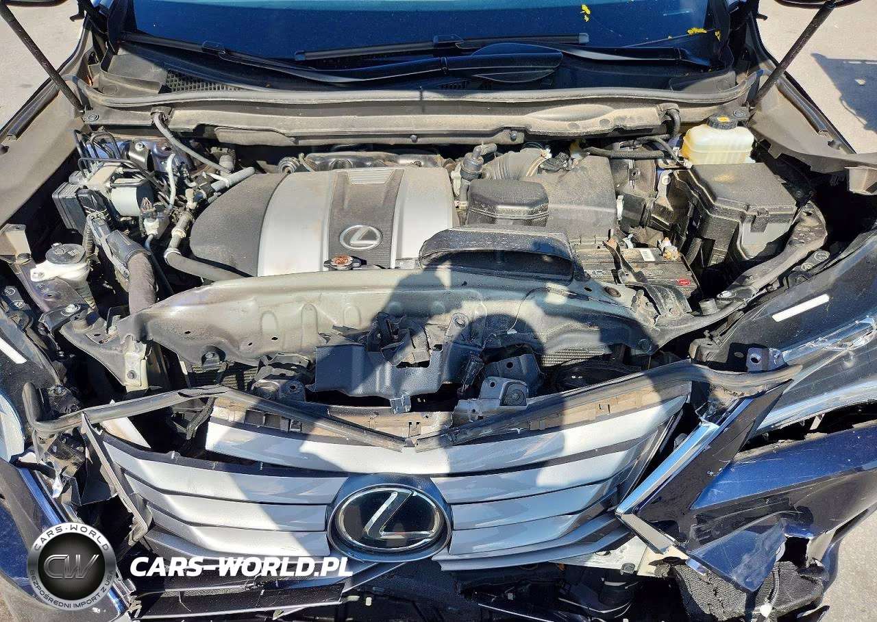 2019 Lexus Rx 350 L VIN:JTJDZKCA6K2015372 - 12