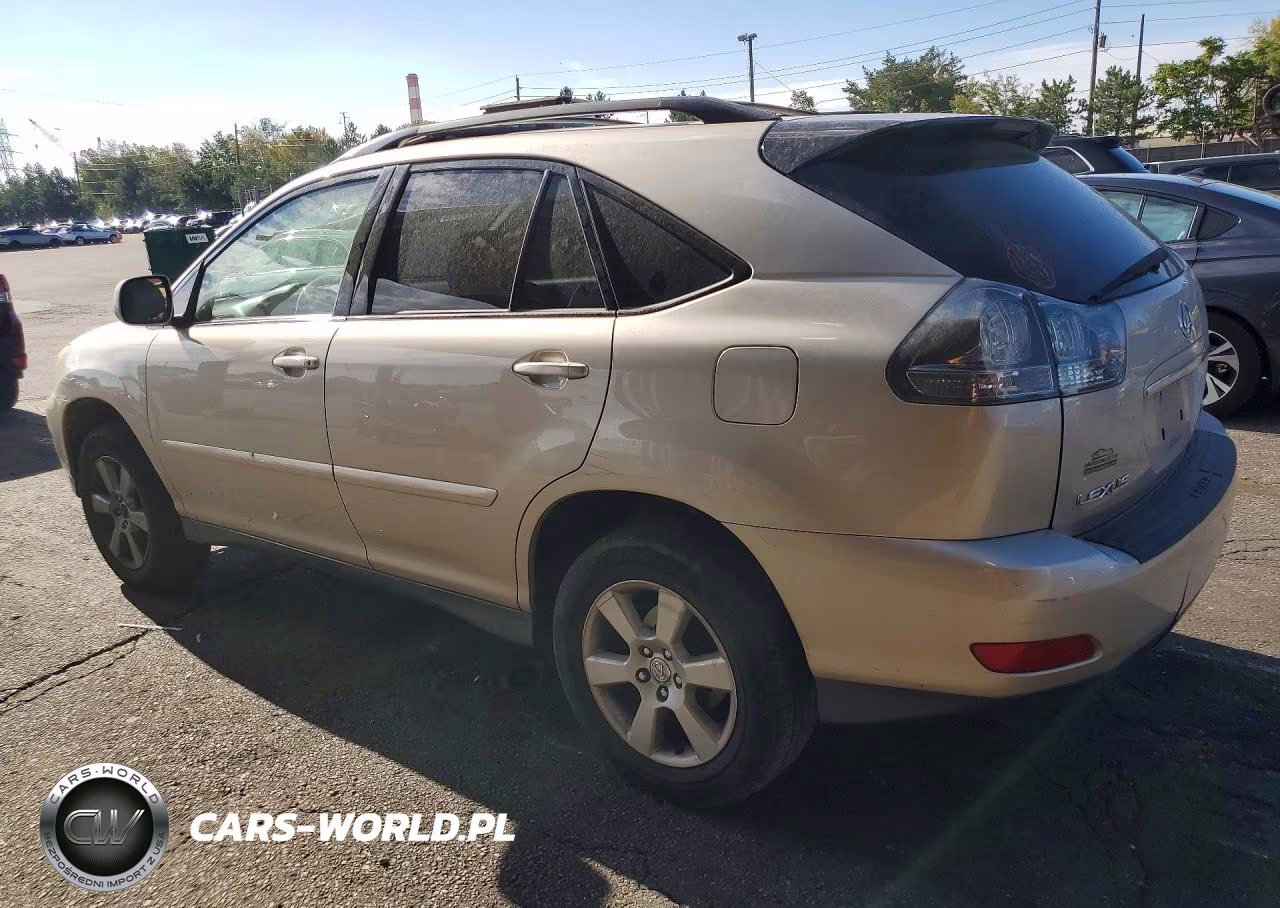 2004 Lexus Rx 330 VIN:JTJHA31U740040467 - 2