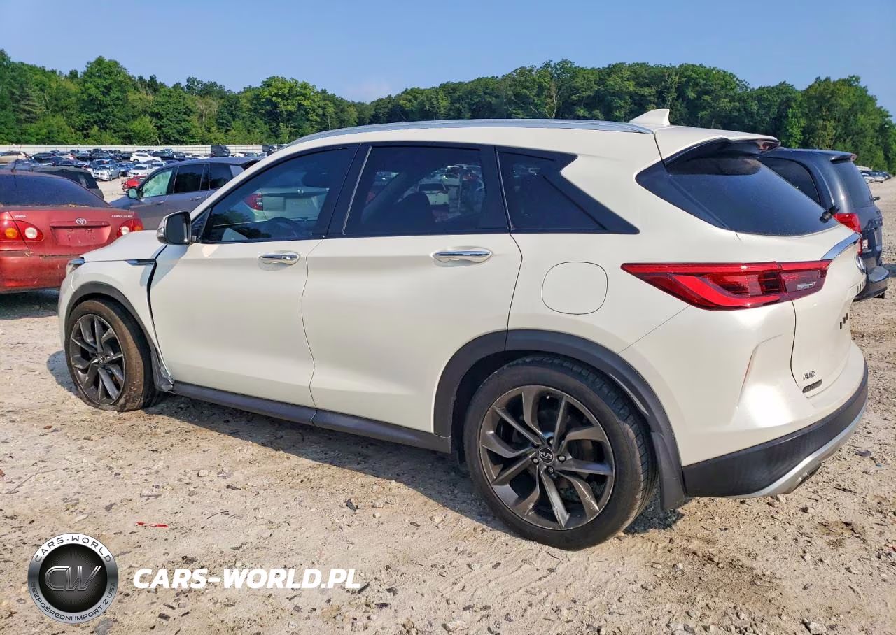 2019 Infiniti Qx50 Luxe VIN:3PCAJ5M33KF144665 - 2