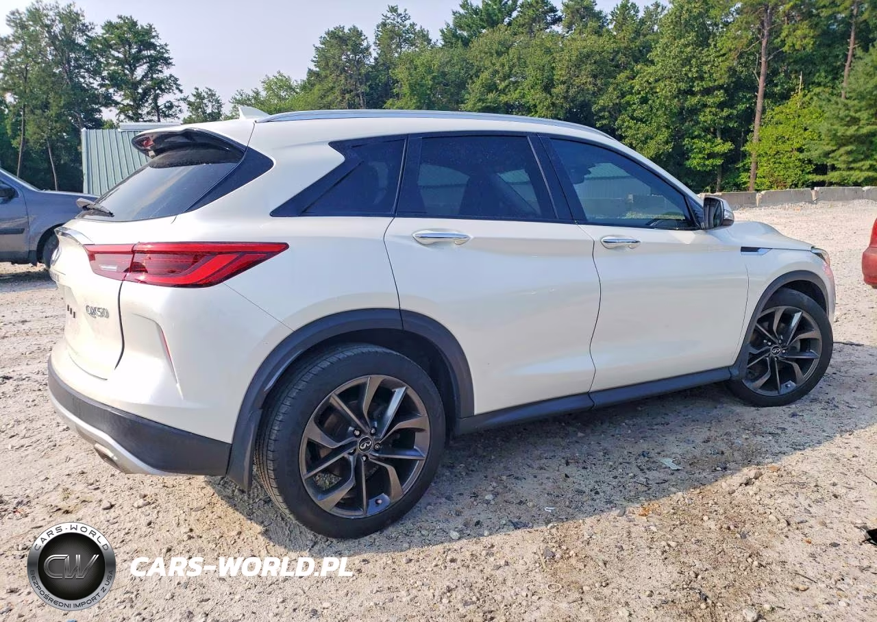 2019 Infiniti Qx50 Luxe VIN:3PCAJ5M33KF144665 - 3