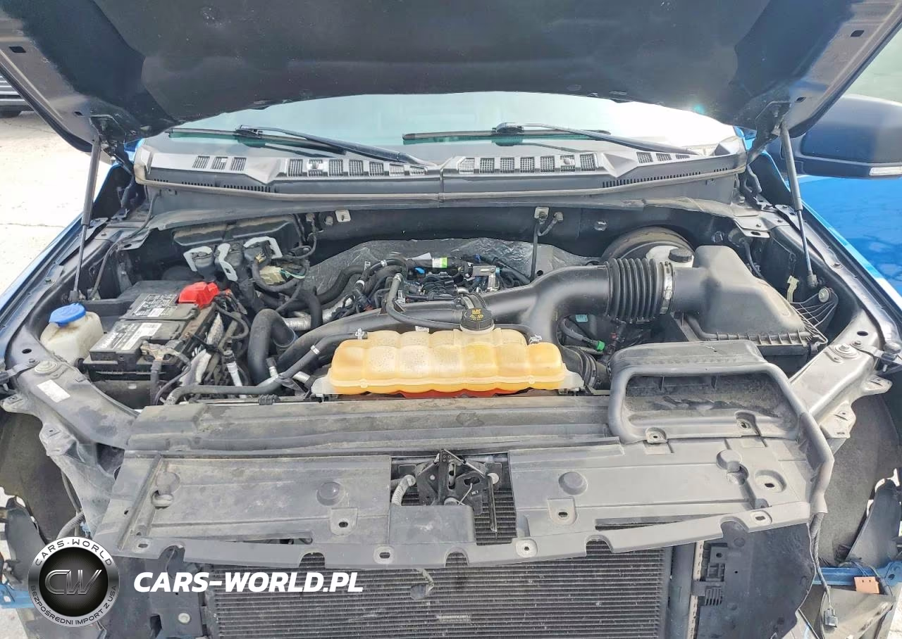 2019 Ford F150 Supercrew VIN:1FTEW1CP6KFA39307 - 11