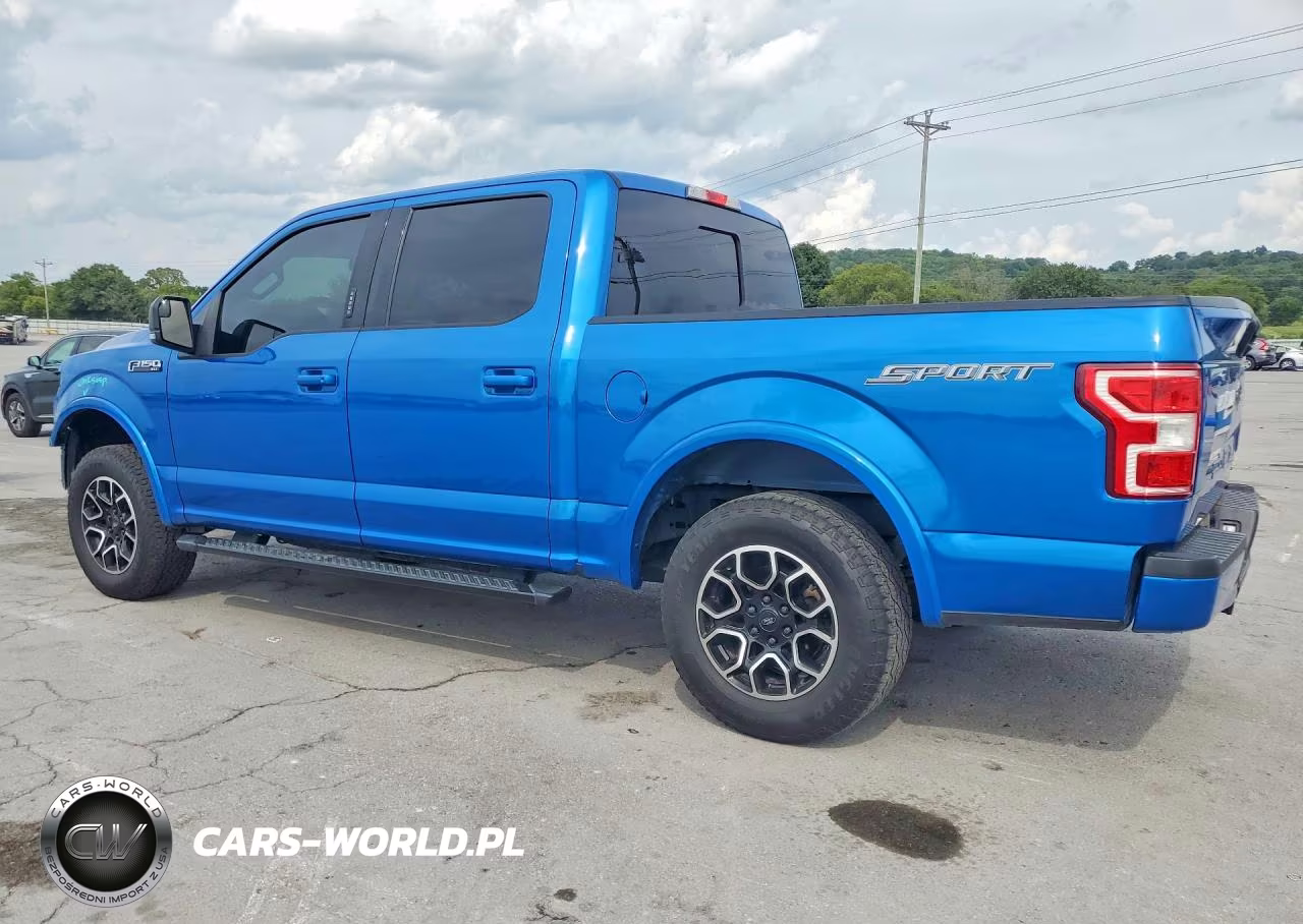 2019 Ford F150 Supercrew VIN:1FTEW1CP6KFA39307 - 2