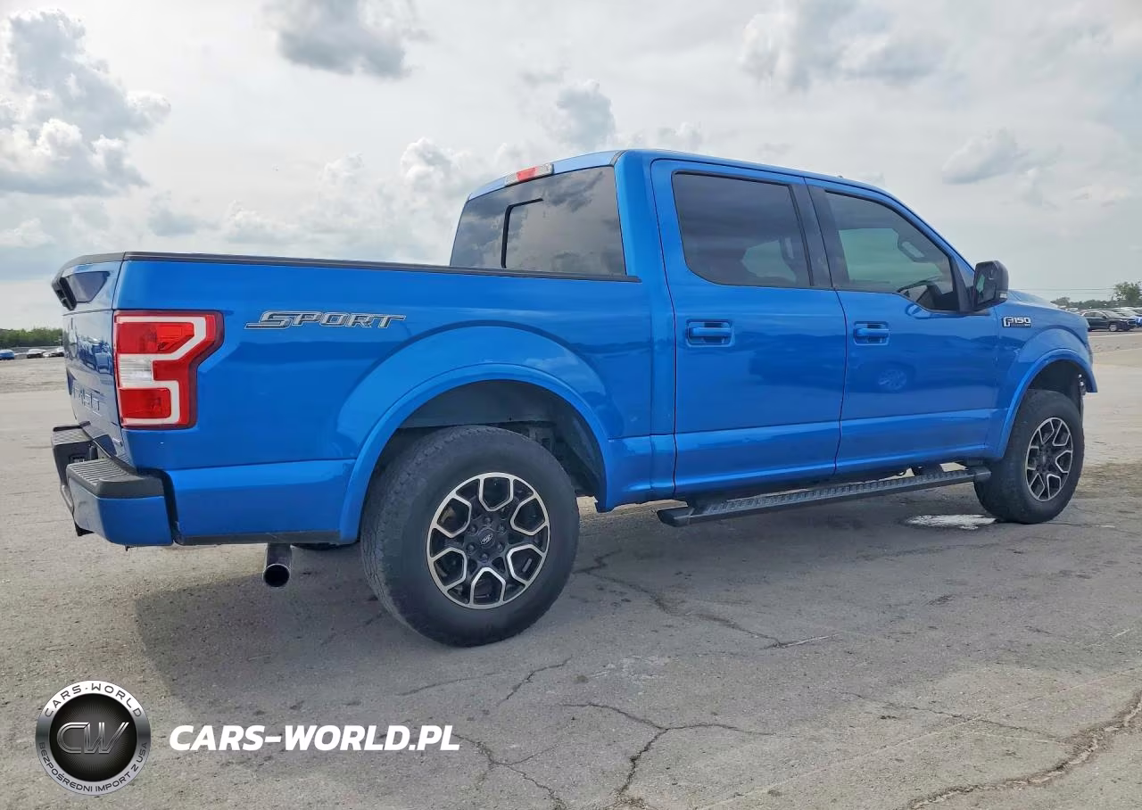 2019 Ford F150 Supercrew VIN:1FTEW1CP6KFA39307 - 3
