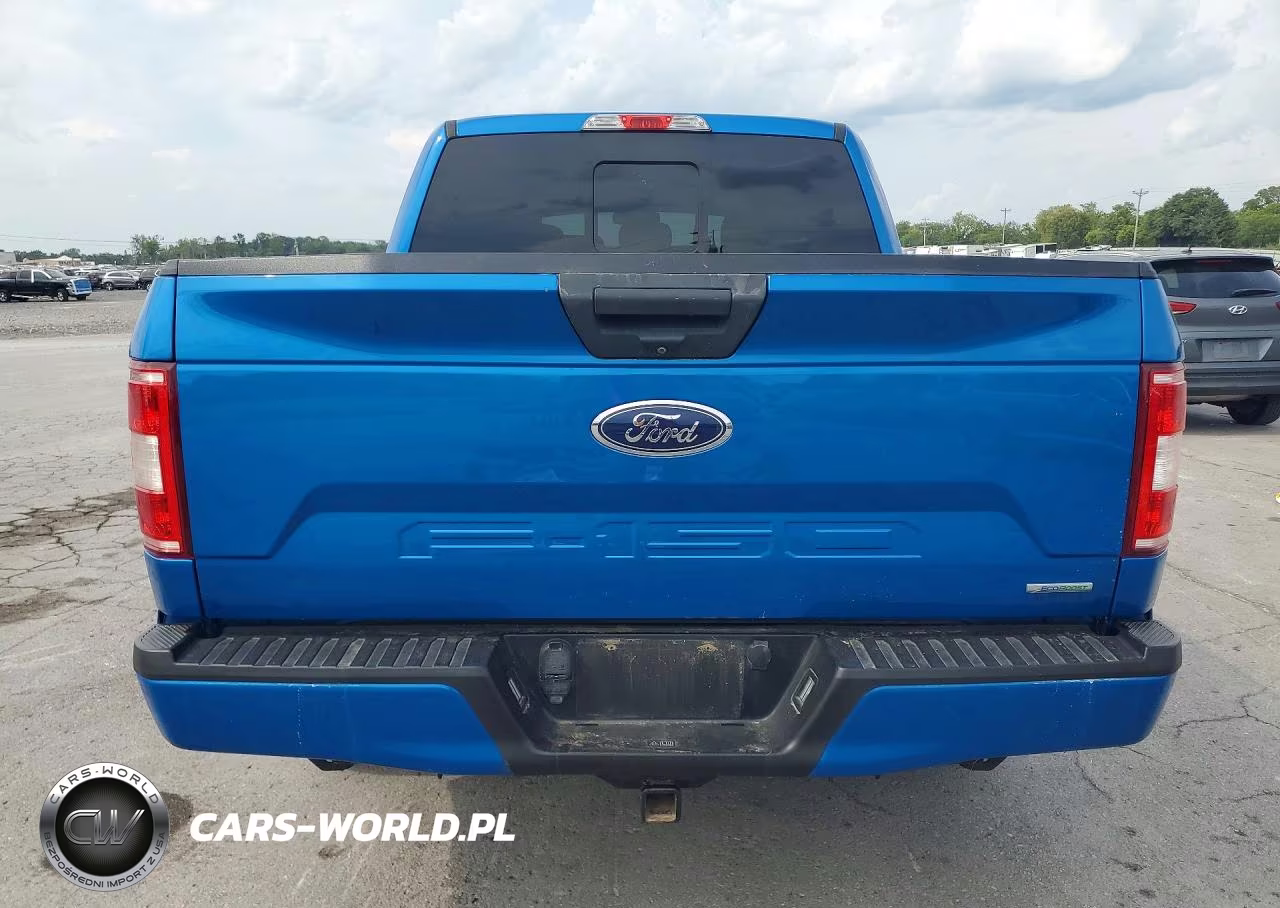 2019 Ford F150 Supercrew VIN:1FTEW1CP6KFA39307 - 6