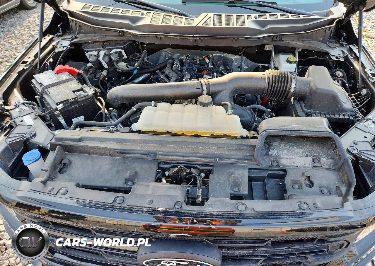 2025 Ford F150 Xlt VIN:1FTFW3L83SFA12154 - 11