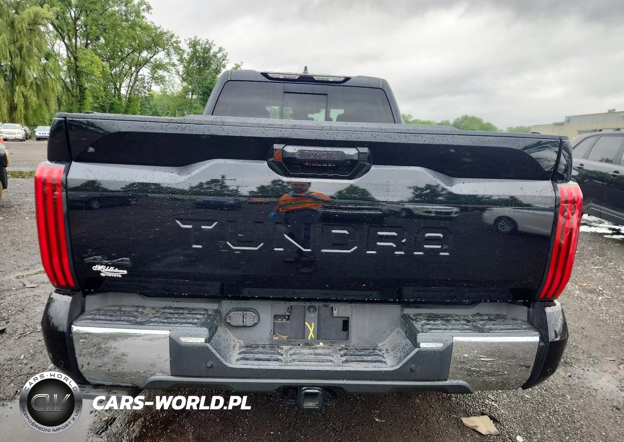 2022 Toyota Tundra Sr5 VIN:5TFLA5DA1NX041665 - 6