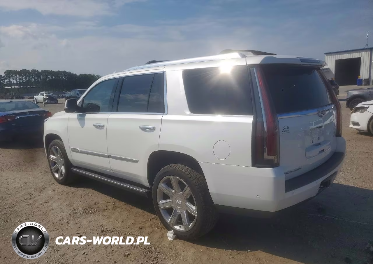 2019 Cadillac Escalade Premium Luxury VIN:1GYS3CKJ2KR385240 - 2