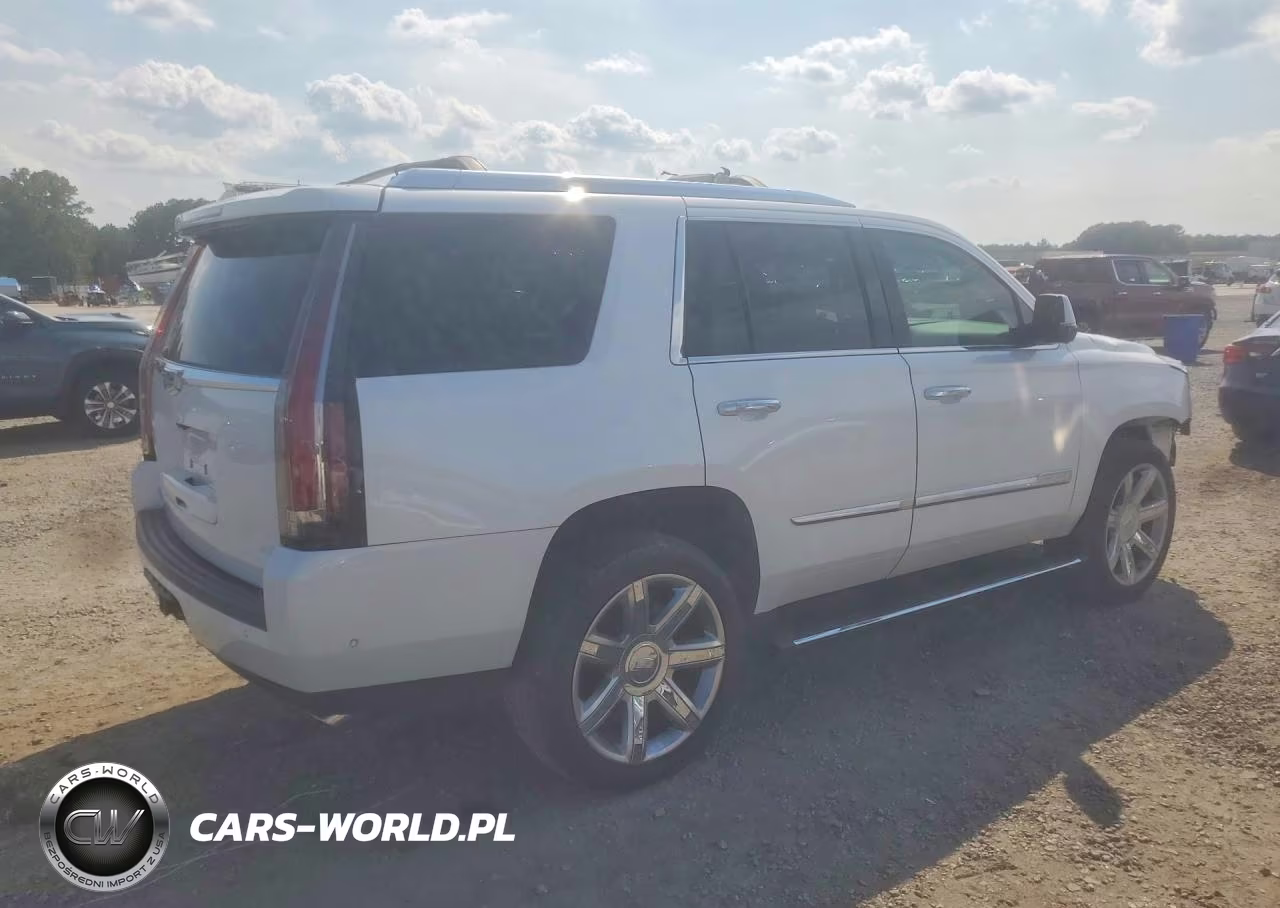 2019 Cadillac Escalade Premium Luxury VIN:1GYS3CKJ2KR385240 - 3