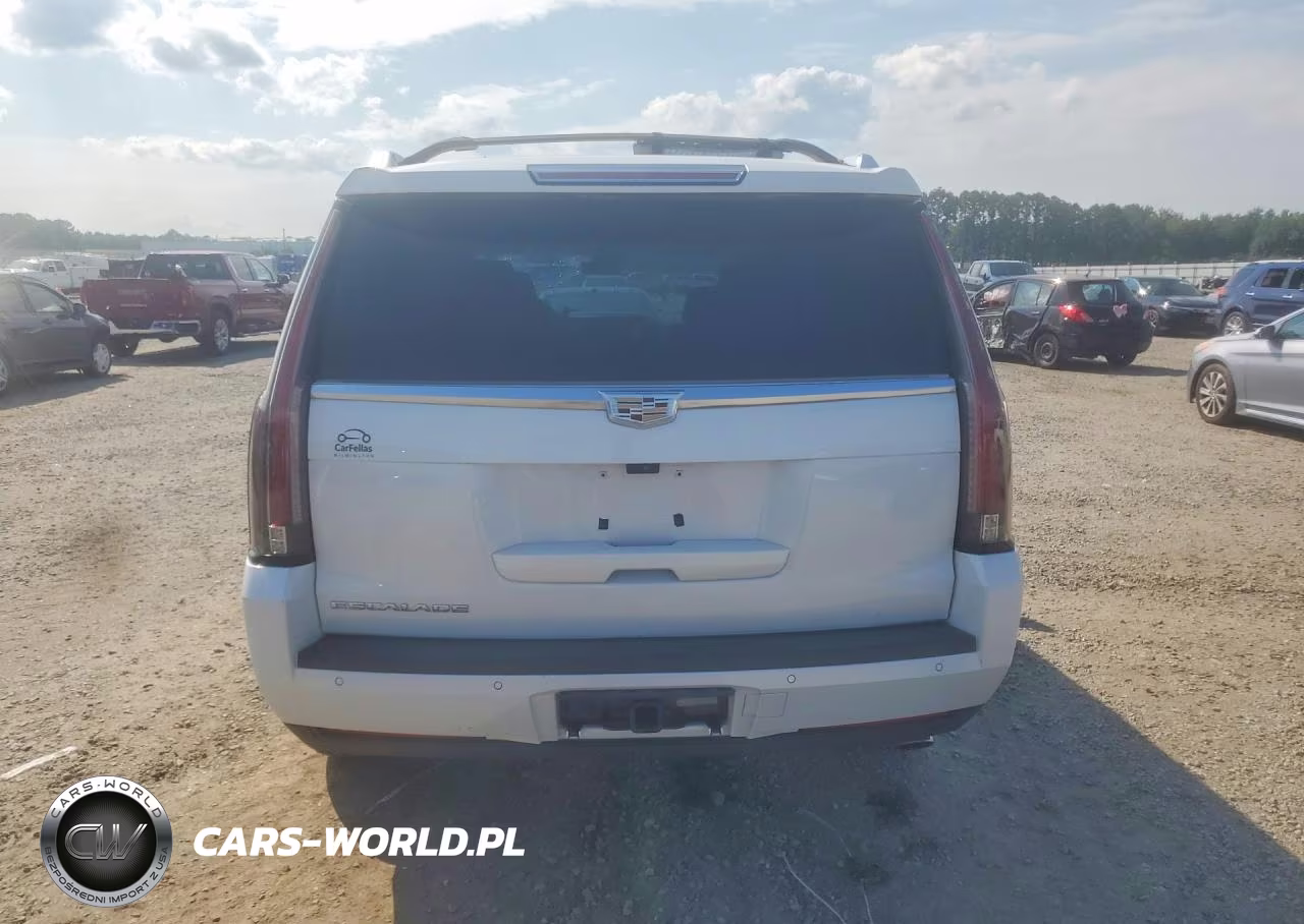 2019 Cadillac Escalade Premium Luxury VIN:1GYS3CKJ2KR385240 - 6