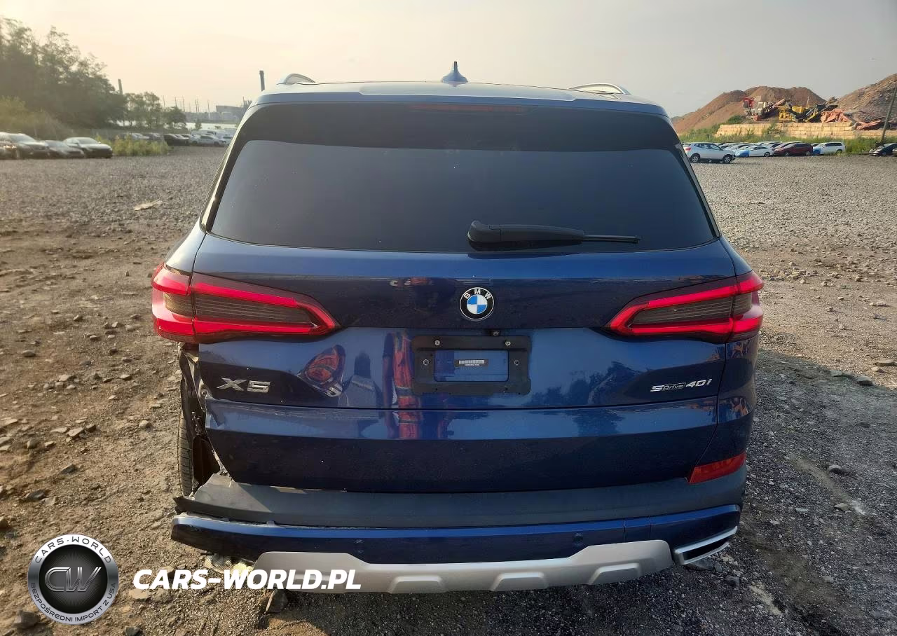 2020 BMW X5 Sdrive 40I VIN:5UXCR4C04LLT19246 - 6