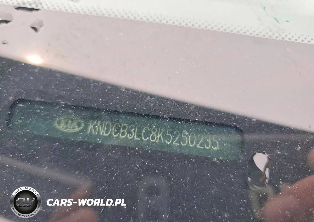 2019 Kia Niro Lx VIN:KNDCB3LC8K5250235 - 13