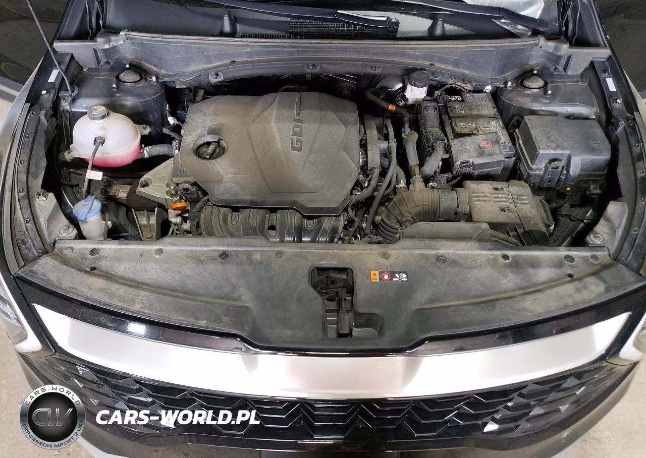 2025 Kia Sportage Ex VIN:5XYK3CDF6SG323868 - 12