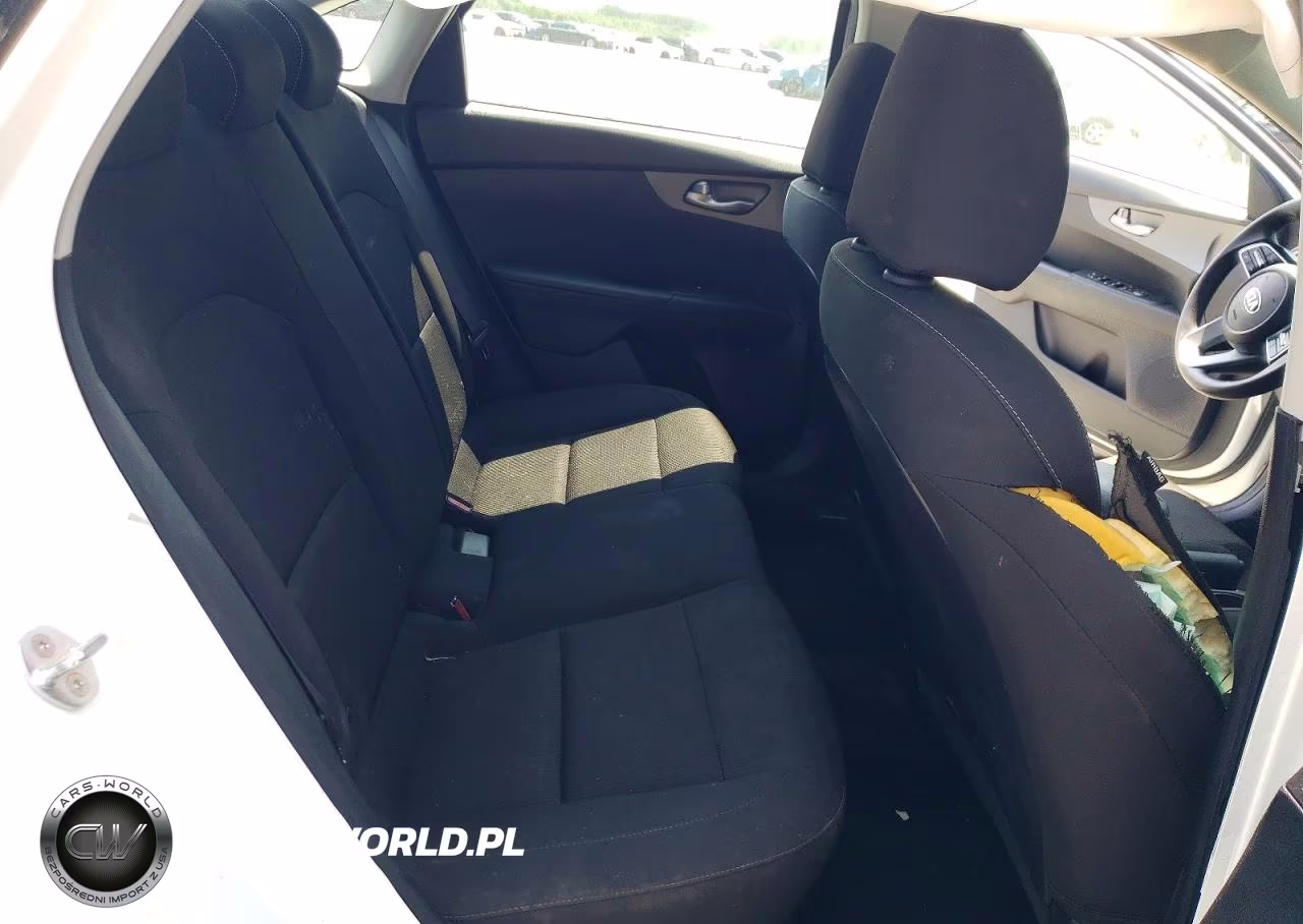 2019 Kia Forte Lxs VIN:3KPF24AD0KE122008 - 10