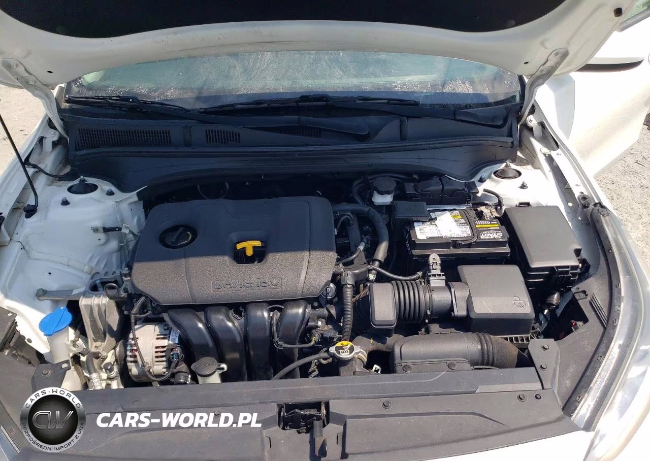 2019 Kia Forte Lxs VIN:3KPF24AD0KE122008 - 11