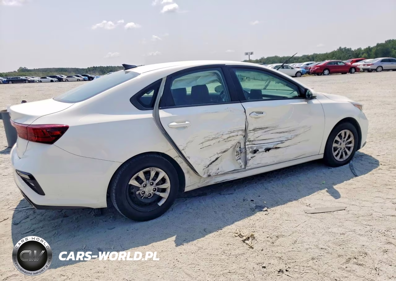 2019 Kia Forte Lxs VIN:3KPF24AD0KE122008 - 3
