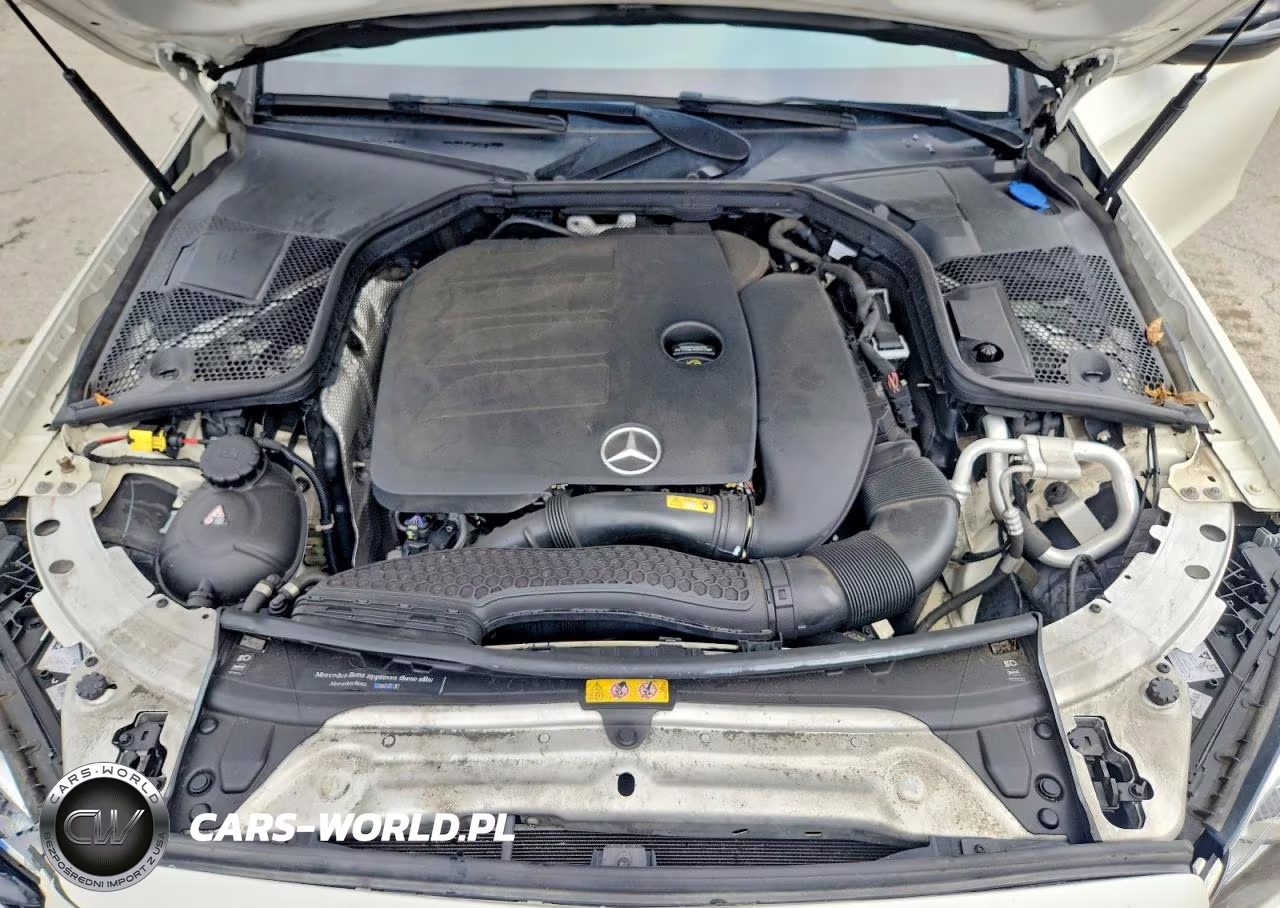 2019 Mercedes-Benz C 300 4Matic VIN:55SWF8EB2KU308632 - 11