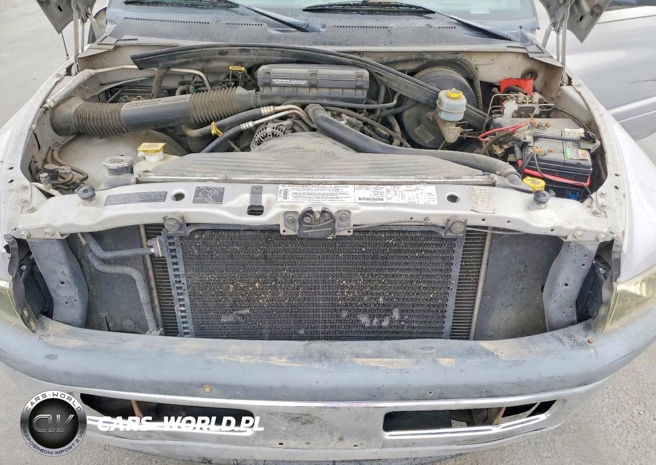 1999 Dodge Ram 1500 VIN:1B7HC16X5XS306999 - 11