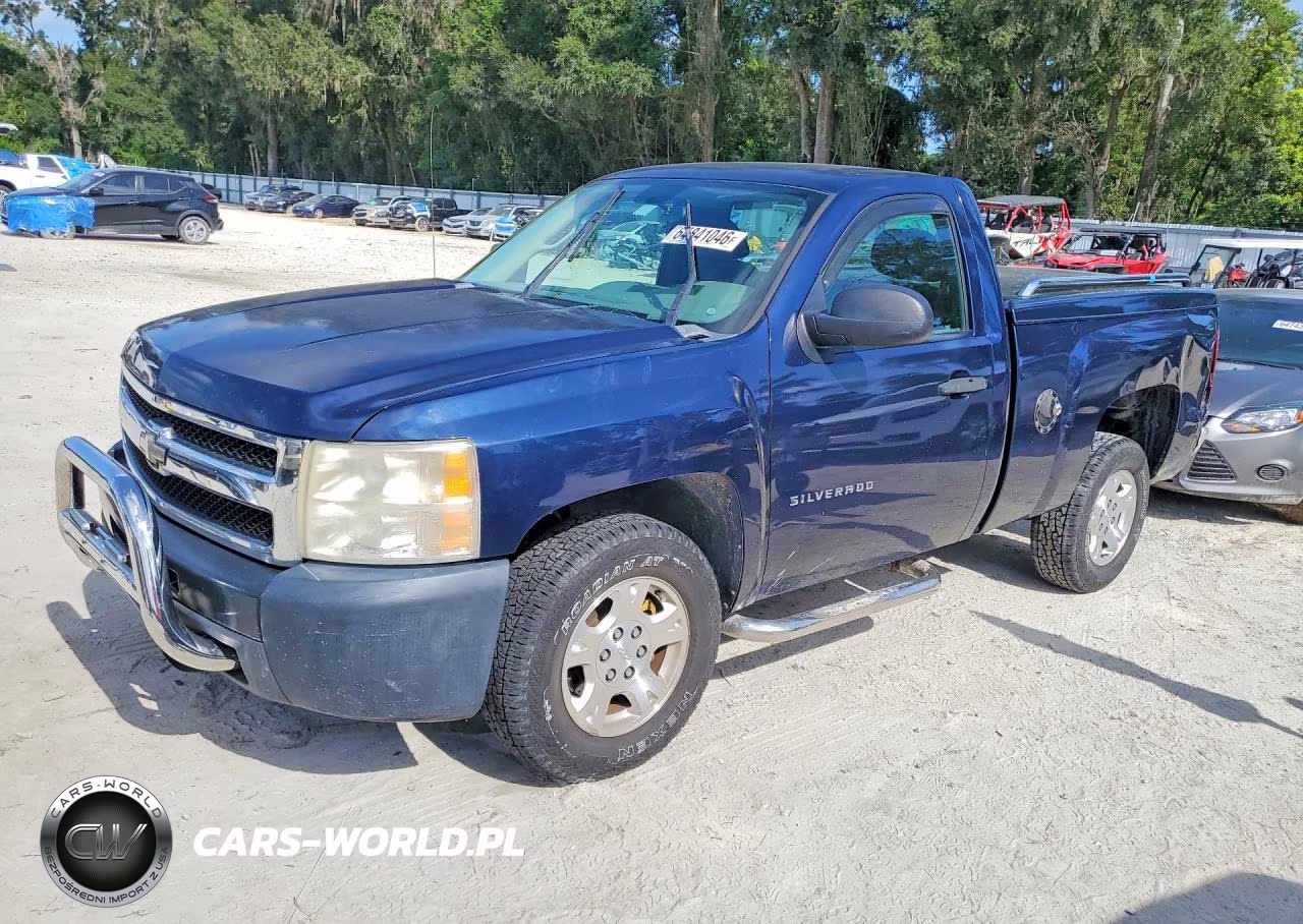2010 Chevrolet Silverado C1500
