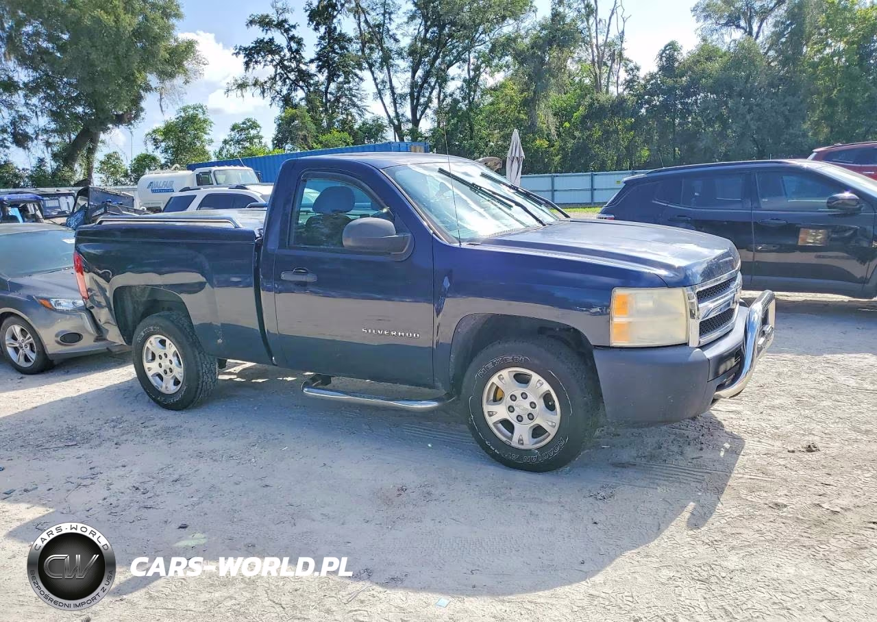 2010 Chevrolet Silverado C1500 VIN:1GCPCPEA5AZ268247 - 4