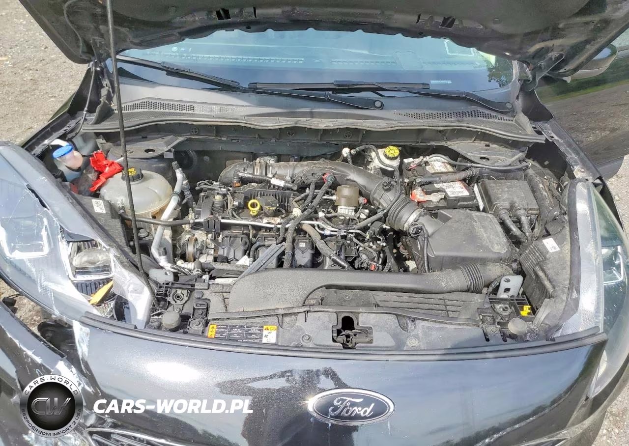2022 Ford Escape Sel VIN:1FMCU9H91NUA81479 - 12