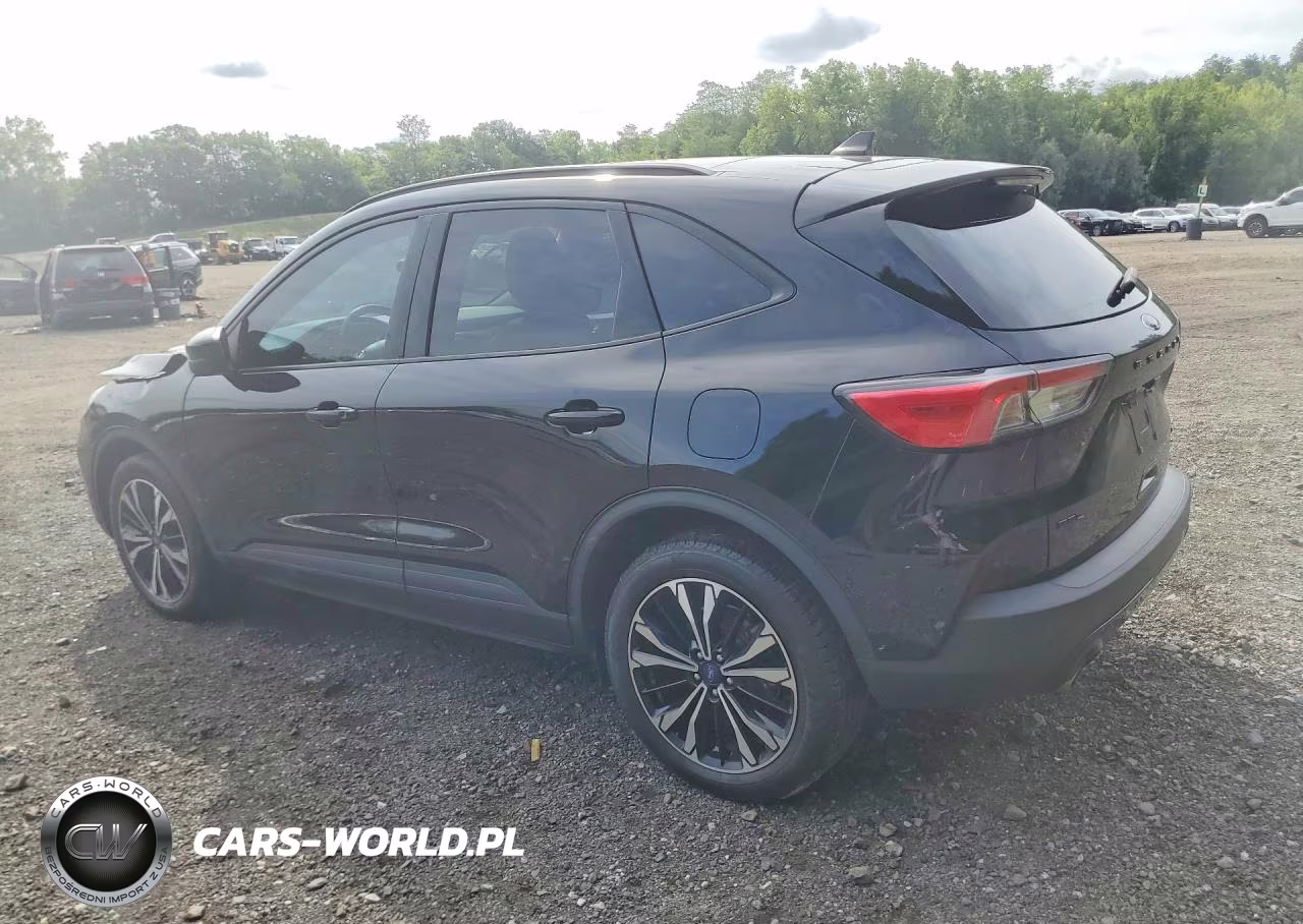 2022 Ford Escape Sel VIN:1FMCU9H91NUA81479 - 2