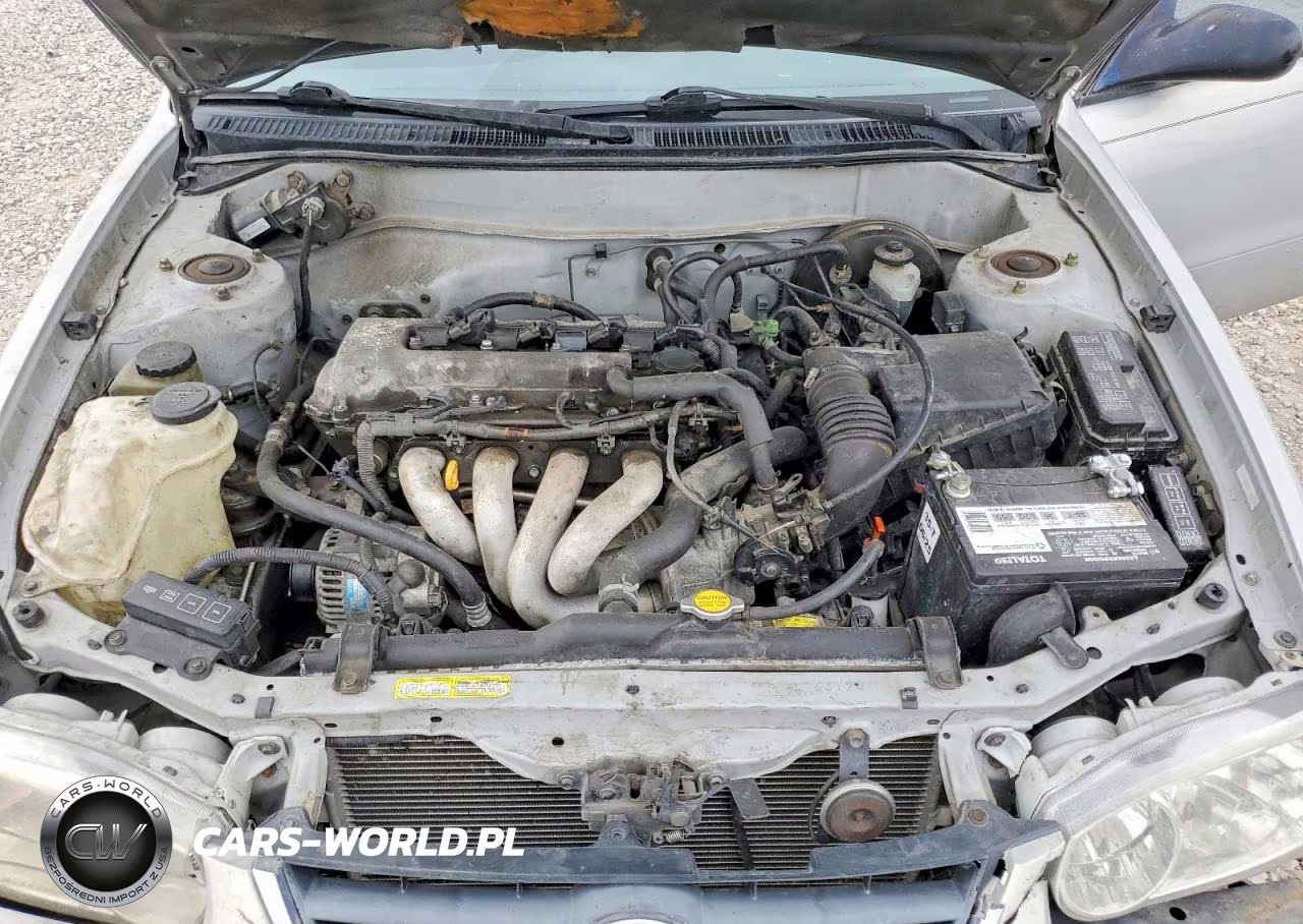 2001 Toyota Corolla Ce VIN:1NXBR12E71Z538617 - 11