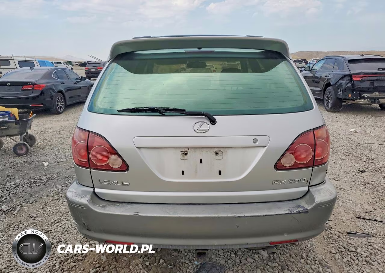 2000 Lexus Rx 300 VIN:JT6HF10U7Y0137563 - 6