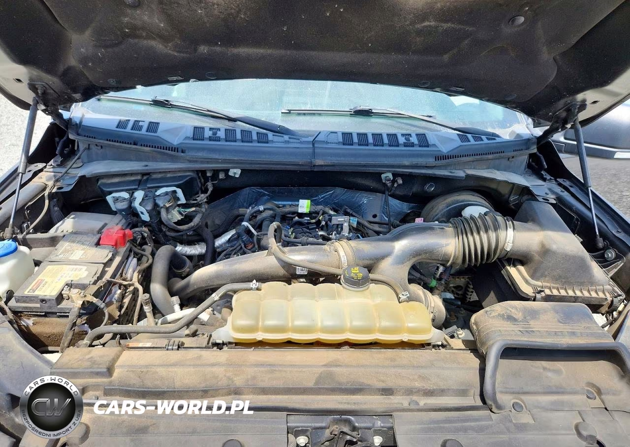 2019 Ford F150 Supercrew VIN:1FTEW1CP5KFB11078 - 11