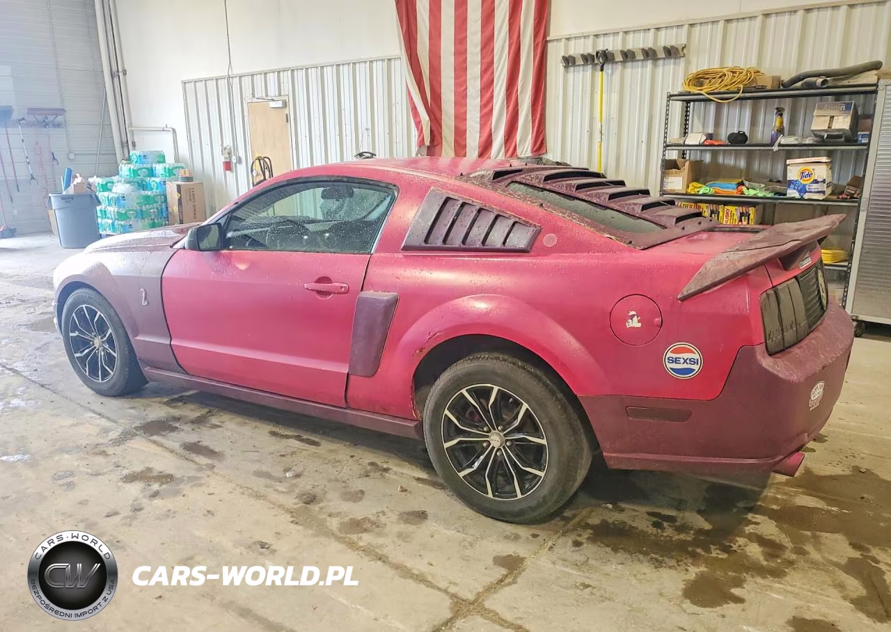 2006 Ford Mustang Gt VIN:1ZVFT82HX65250986 - 2