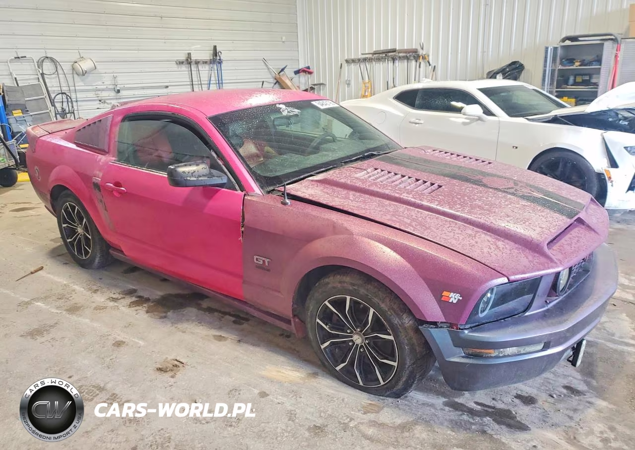 2006 Ford Mustang Gt VIN:1ZVFT82HX65250986 - 4