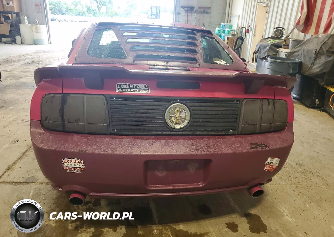 2006 Ford Mustang Gt VIN:1ZVFT82HX65250986 - 6