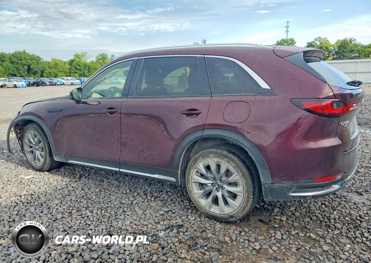 2024 Mazda Cx-90 Premium Plus VIN:JM3KKEHD9R1100538 - 2