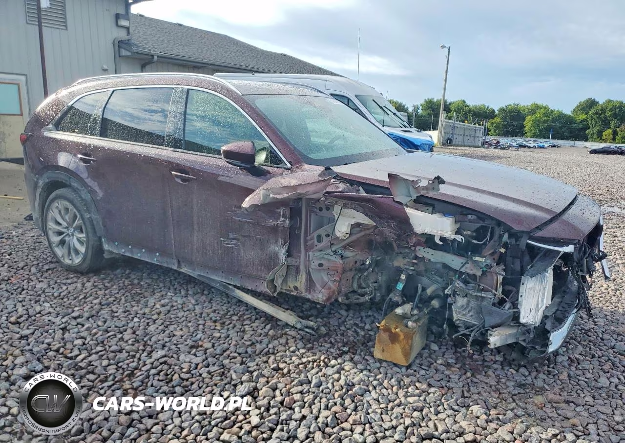 2024 Mazda Cx-90 Premium Plus VIN:JM3KKEHD9R1100538 - 4