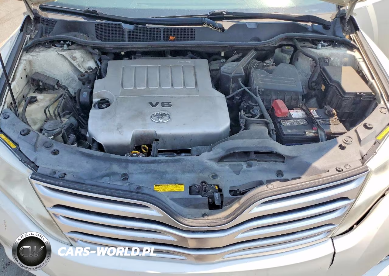 2009 Toyota Venza VIN:4T3ZK11A79U001363 - 12