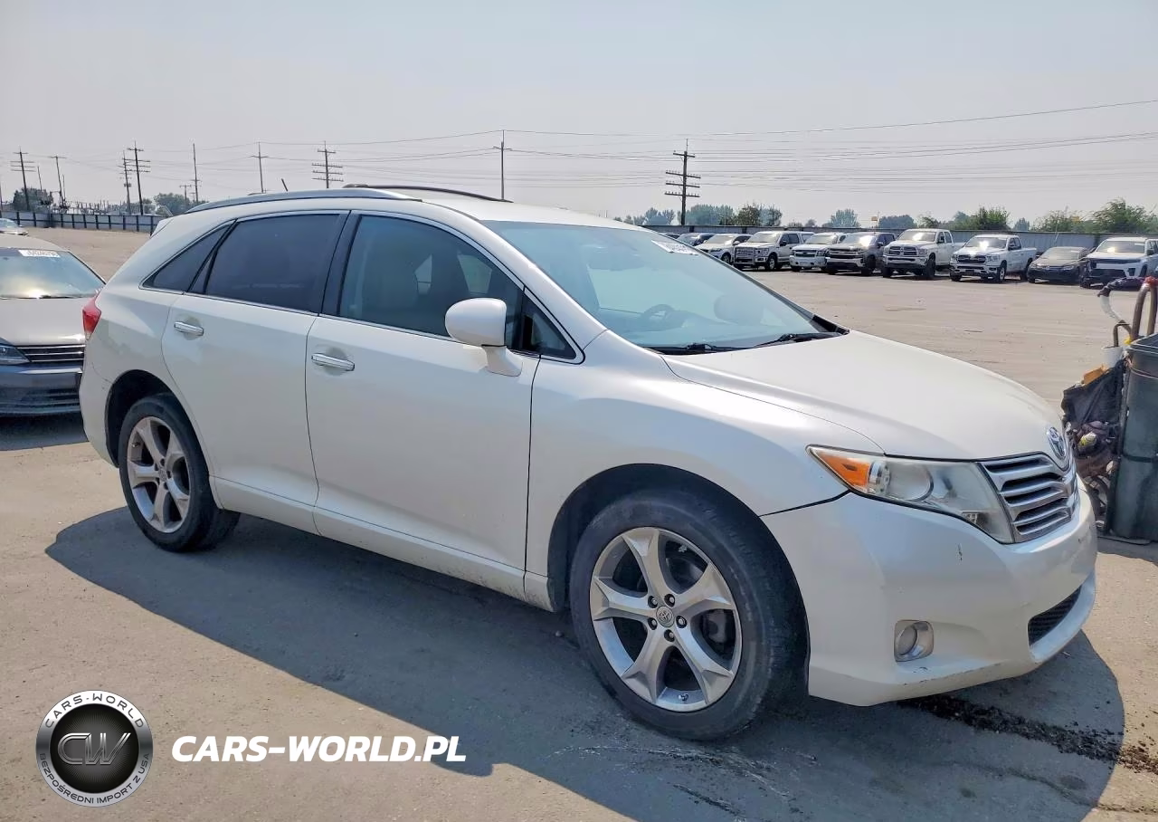 2009 Toyota Venza VIN:4T3ZK11A79U001363 - 4