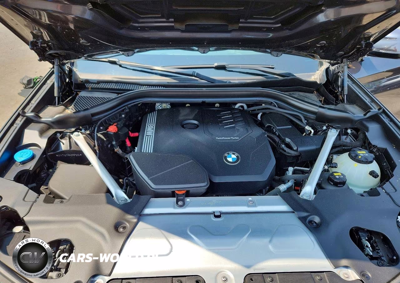 2021 BMW X3 xDrive30I VIN:5UXTY5C08M9G87925 - 12