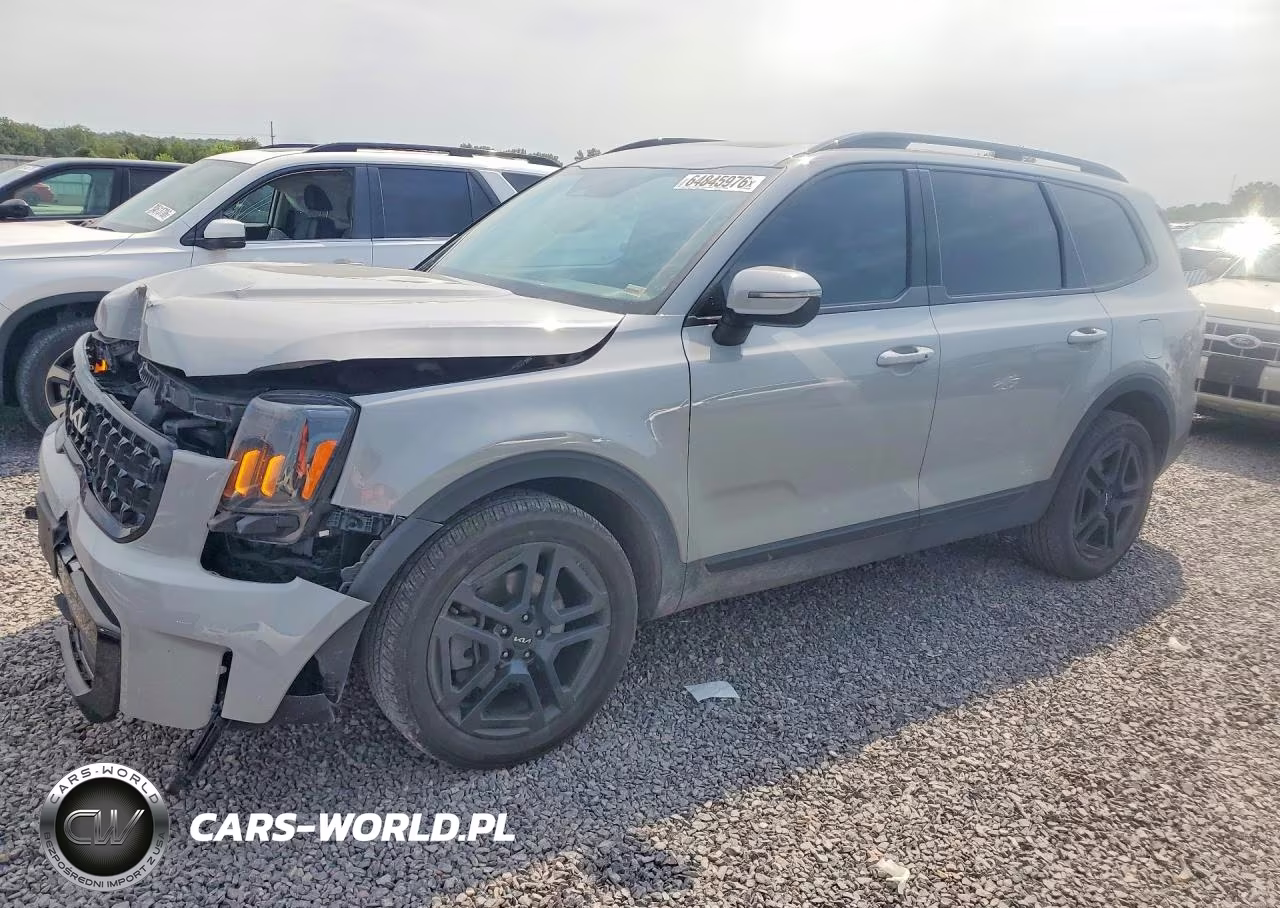 2024 Kia Telluride Ex X-Line VIN:5XYP3DGC8RG429987 - 1