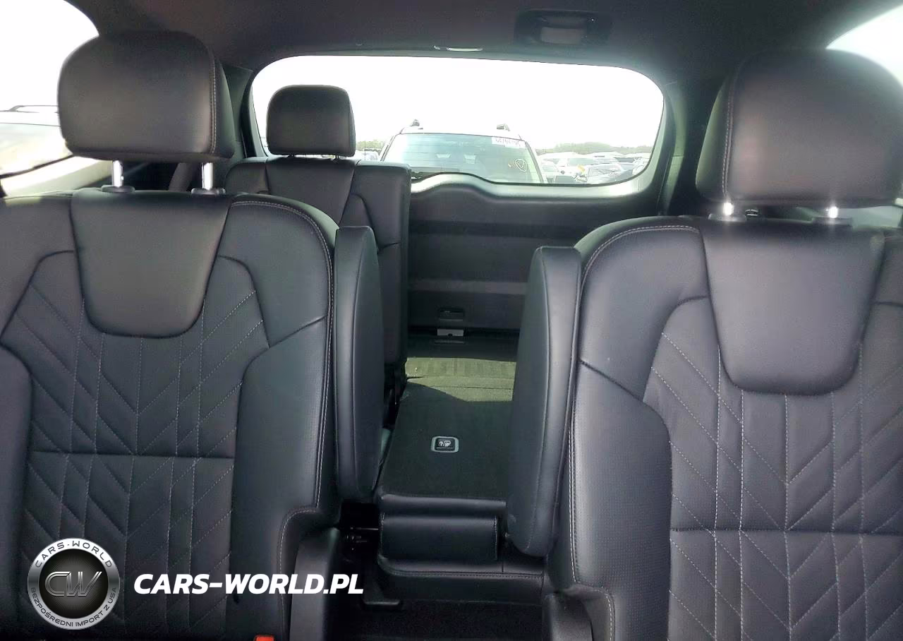 2024 Kia Telluride Ex X-Line VIN:5XYP3DGC8RG429987 - 10