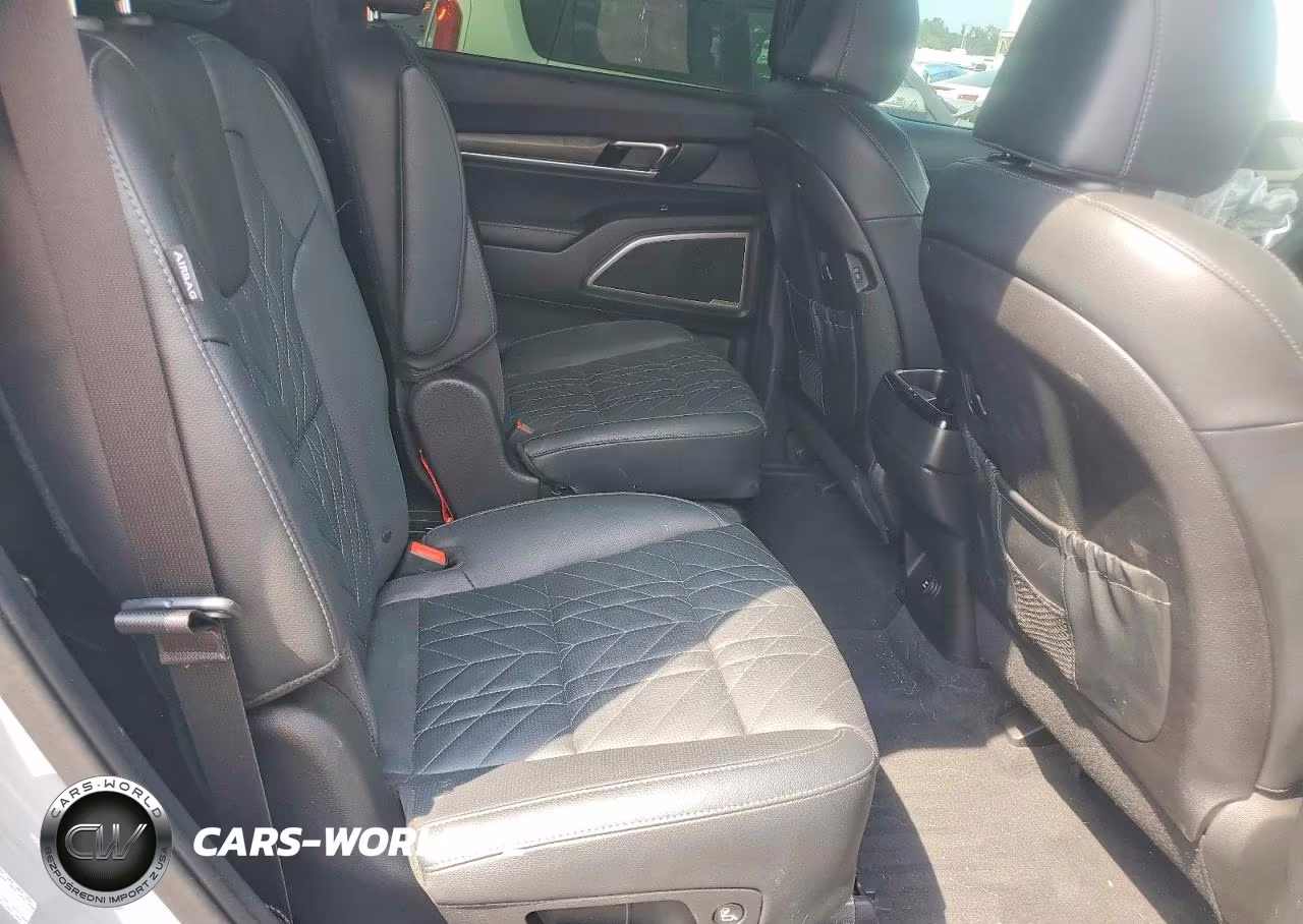2024 Kia Telluride Ex X-Line VIN:5XYP3DGC8RG429987 - 11