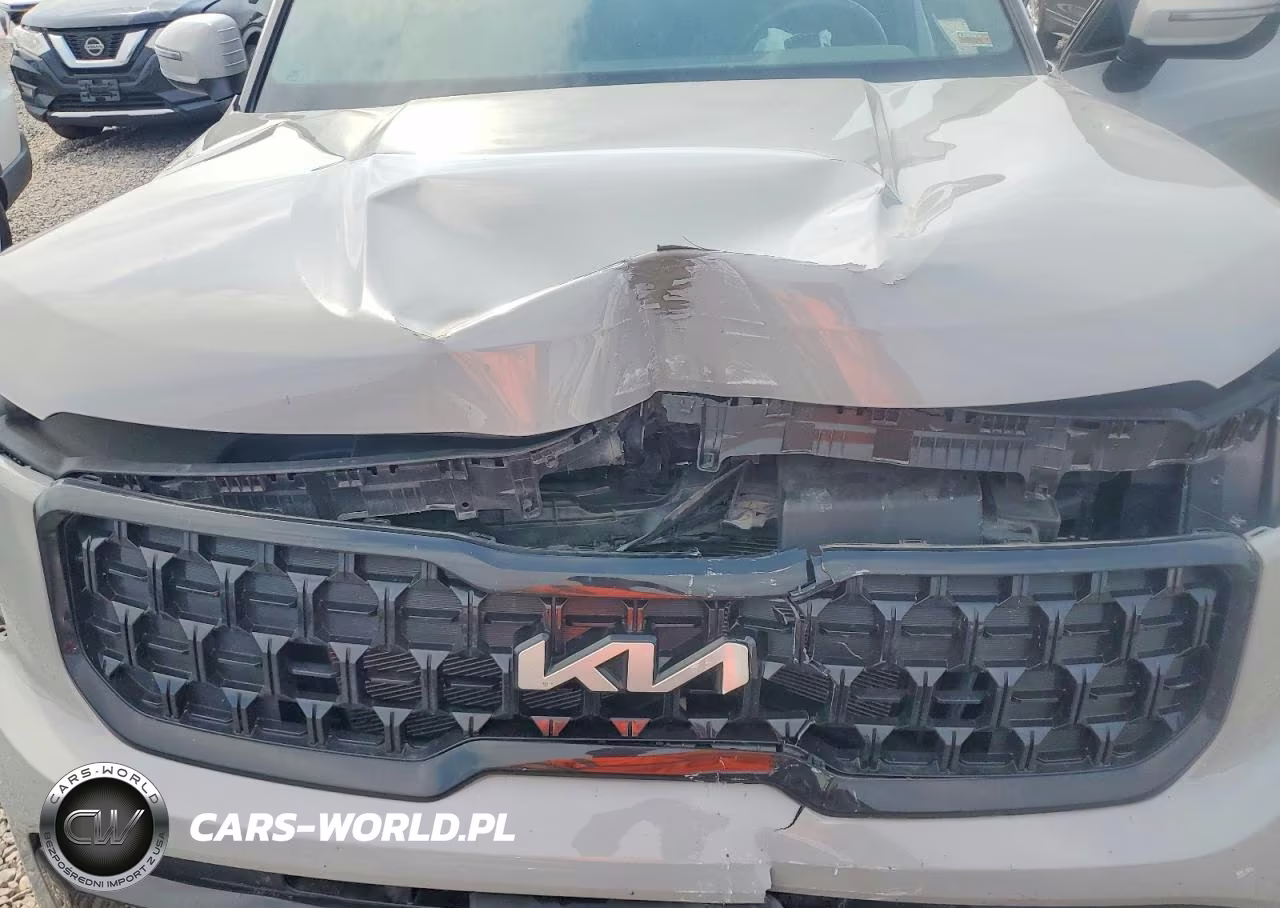 2024 Kia Telluride Ex X-Line VIN:5XYP3DGC8RG429987 - 12