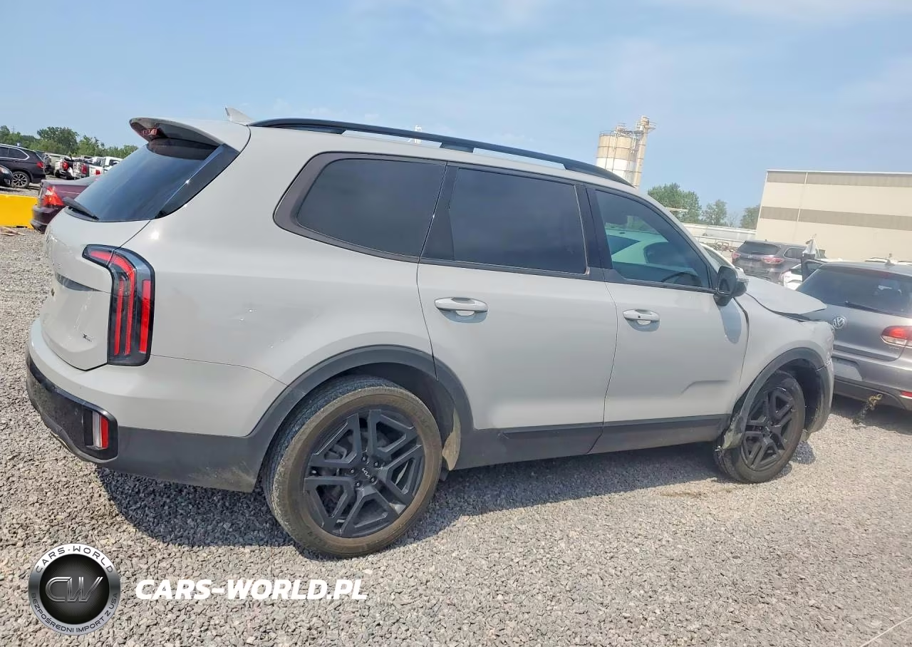 2024 Kia Telluride Ex X-Line VIN:5XYP3DGC8RG429987 - 3