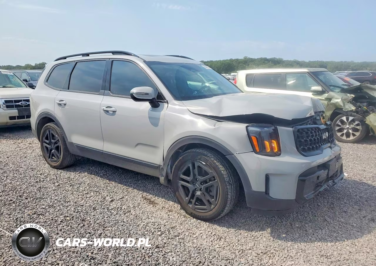 2024 Kia Telluride Ex X-Line VIN:5XYP3DGC8RG429987 - 4