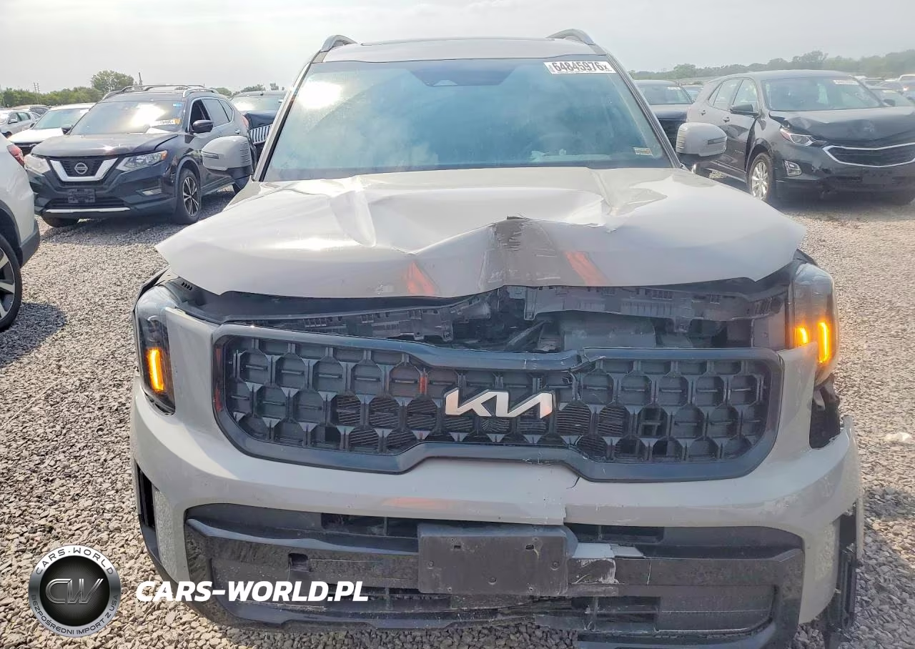 2024 Kia Telluride Ex X-Line VIN:5XYP3DGC8RG429987 - 5
