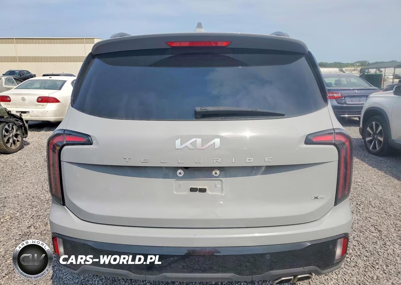 2024 Kia Telluride Ex X-Line VIN:5XYP3DGC8RG429987 - 6