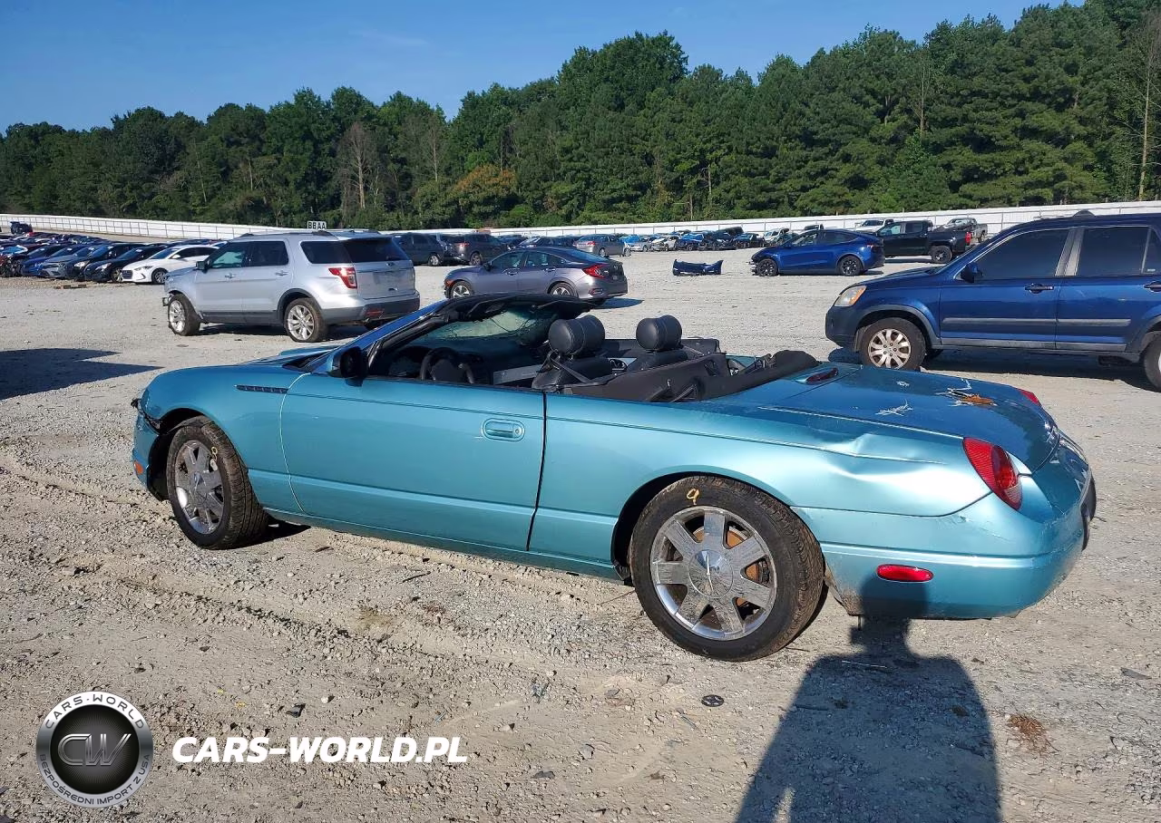 2002 Ford Thunderbird VIN:1FAHP60A52Y128738 - 2
