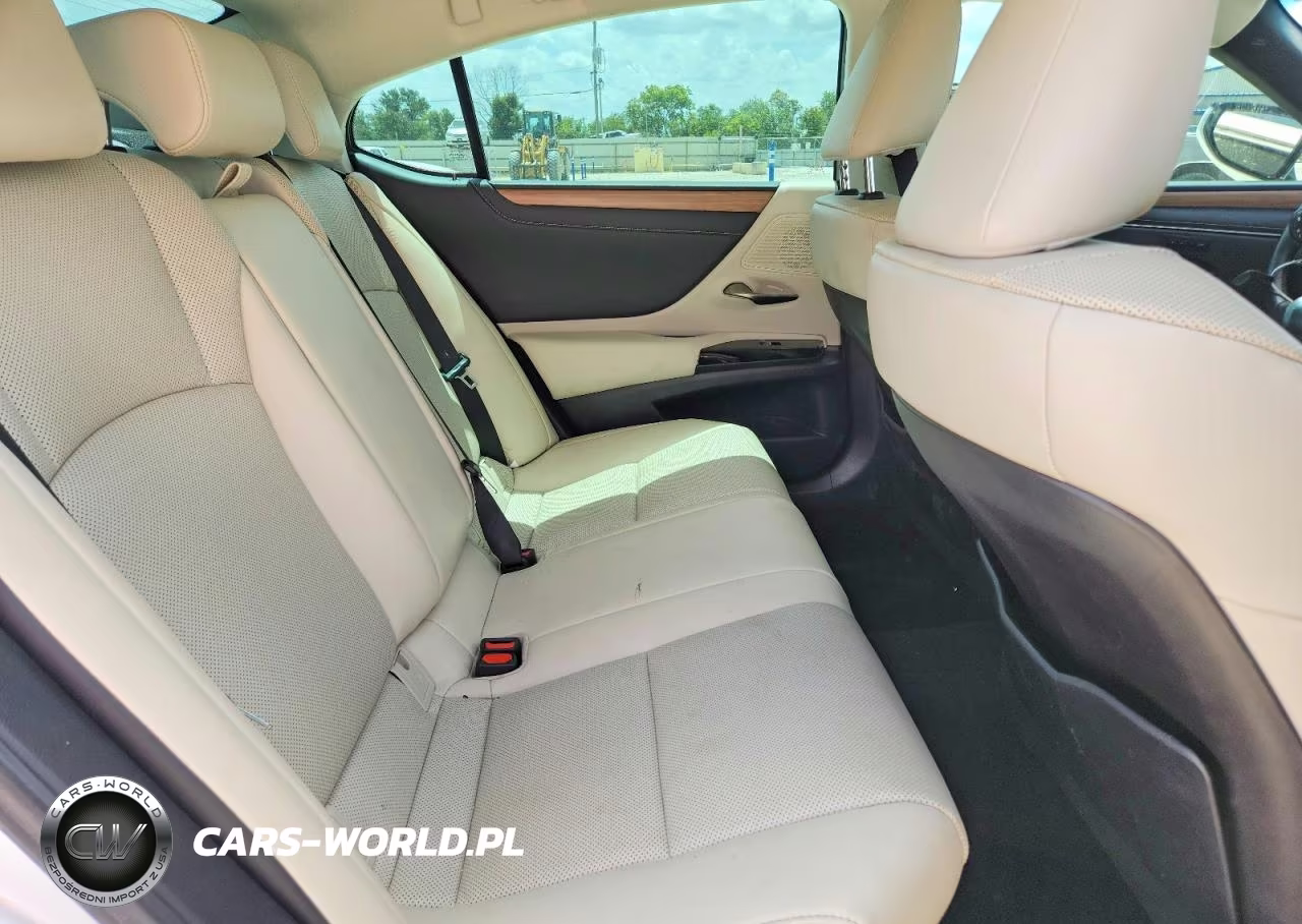 2023 Lexus Es 300H Base VIN:58ADA1C19PU027049 - 10