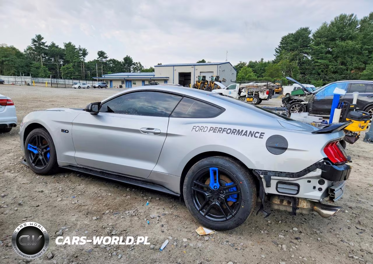 2019 Ford Mustang Gt VIN:1FA6P8CF7K5163339 - 2
