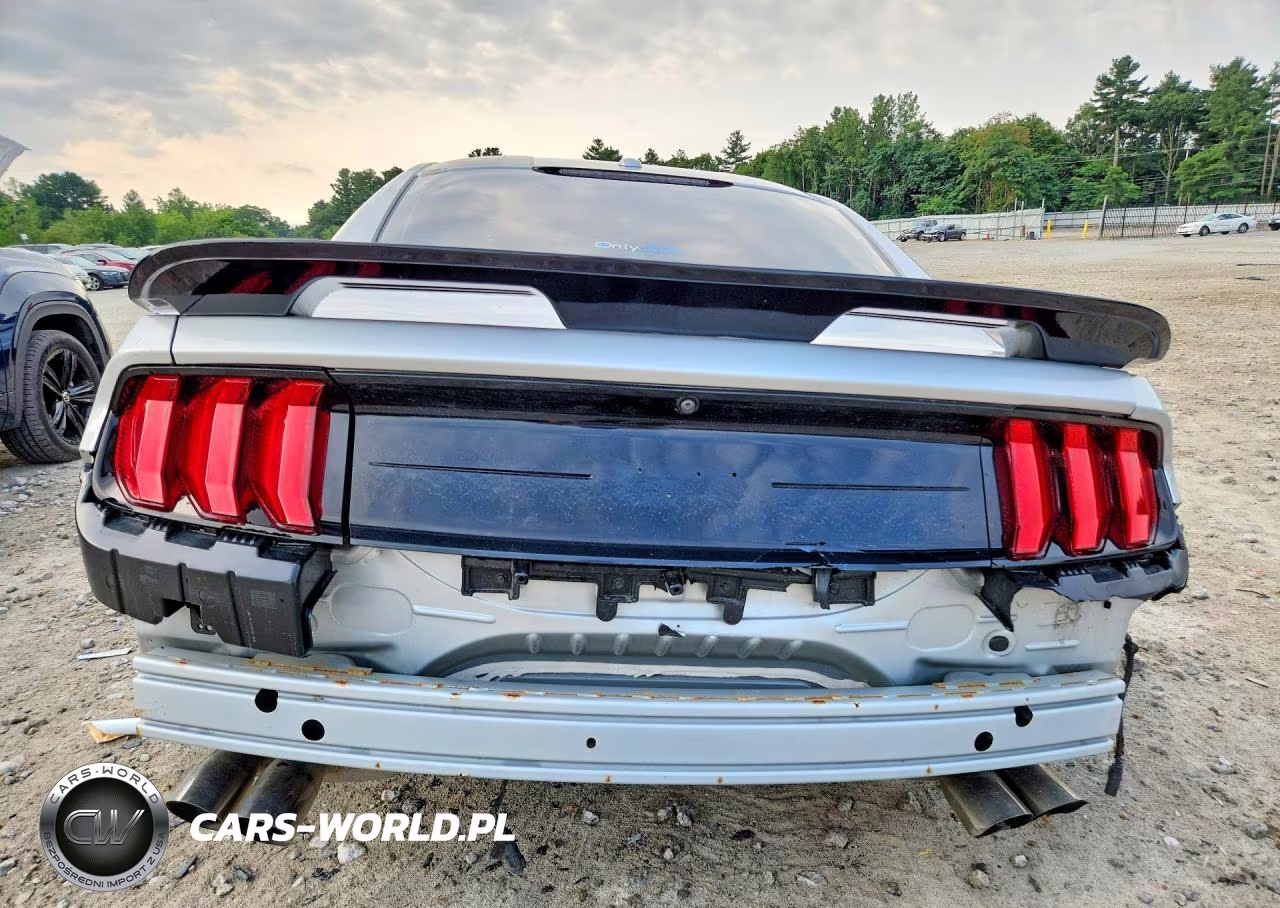 2019 Ford Mustang Gt VIN:1FA6P8CF7K5163339 - 6