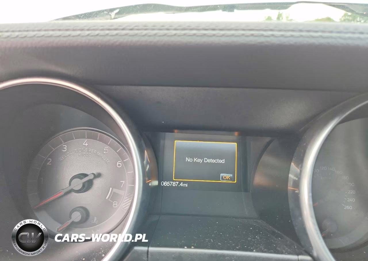 2019 Ford Mustang Gt VIN:1FA6P8CF7K5163339 - 9